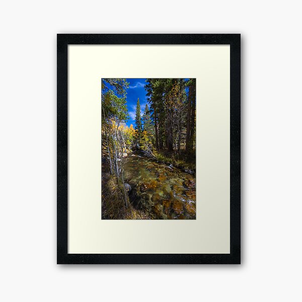 Turn up the Sound Framed Art Print