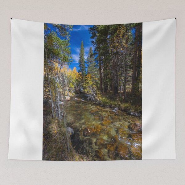 Item preview, Turn up the Sound designed and sold by photosbyflood.