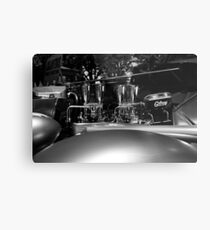 gilroy Metal Print