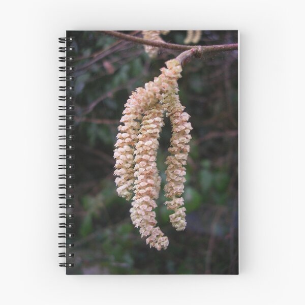 Item preview, Catkins designed and sold by lezvee.