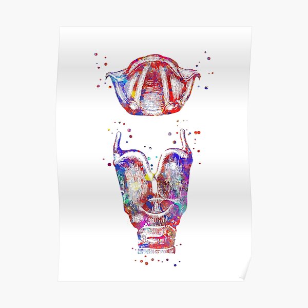 Larynx, larynx et cordes vocales, larynx aquarelle, anatomie de la bouche Poster