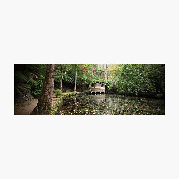 Item preview, Autumn Pano designed and sold by Annette Blattman.