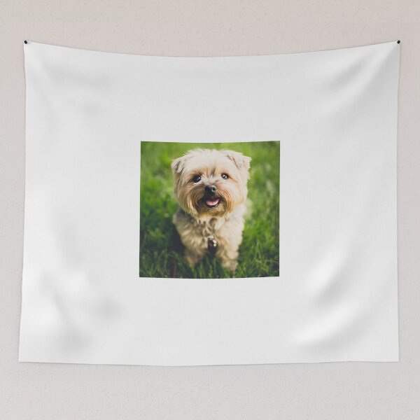 Item preview,  Miniature Schnauzer designed and sold by Silviajones.