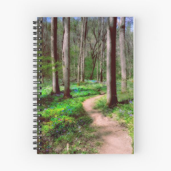 Item preview, Enchanted Path designed and sold by TimPalmer.