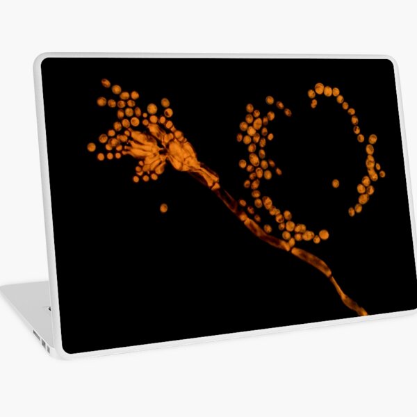 Macbook Air 13" (2015)