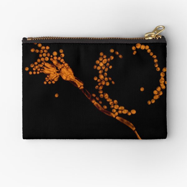 Zipper Pouch