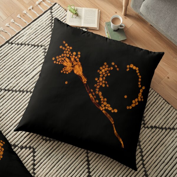 Floor Pillow