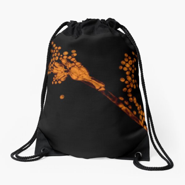 Drawstring Bag