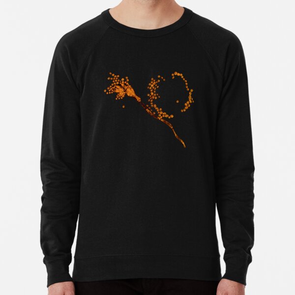 Lightweight Sweatshirt
