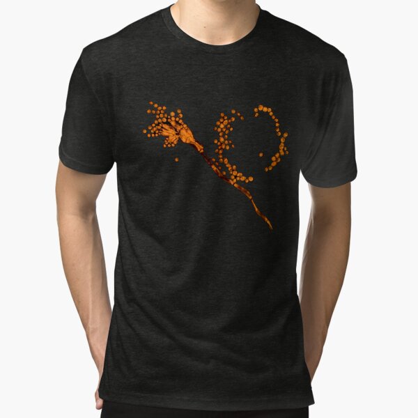 Tri-blend T-Shirt