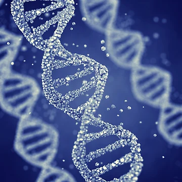Artwork thumbnail, DNA by nobeastsofierce