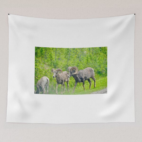 Item preview, Big Horn Sheep at Banff, Canada designed and sold by 2CrabbySisters.