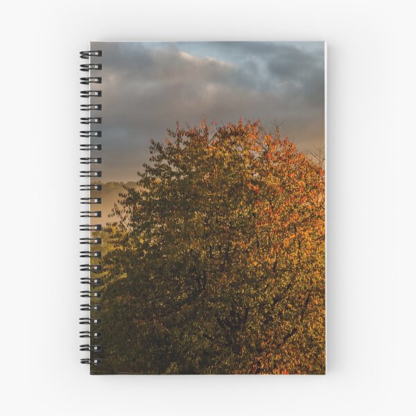 Item preview, Mist In The Valley designed and sold by Steve Purnell Photography.