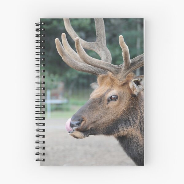Item preview, This Caribou is licking his chops! designed and sold by 2CrabbySisters.