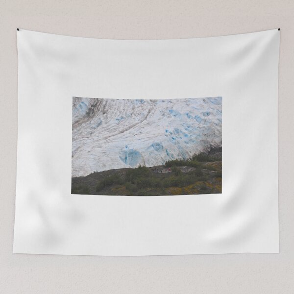 Item preview, Walking up to the Mendenhall Glacier designed and sold by 2CrabbySisters.