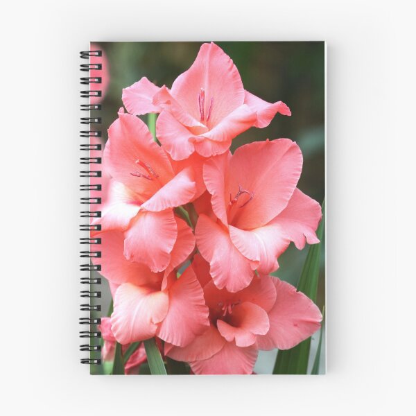 Artikelvorschau, Blumen 4 entworfen und verkauft von Amymint.
