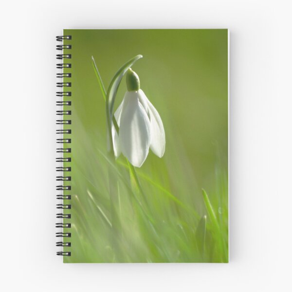 Item preview, The lonely snowdrop designed and sold by miradorpictures.