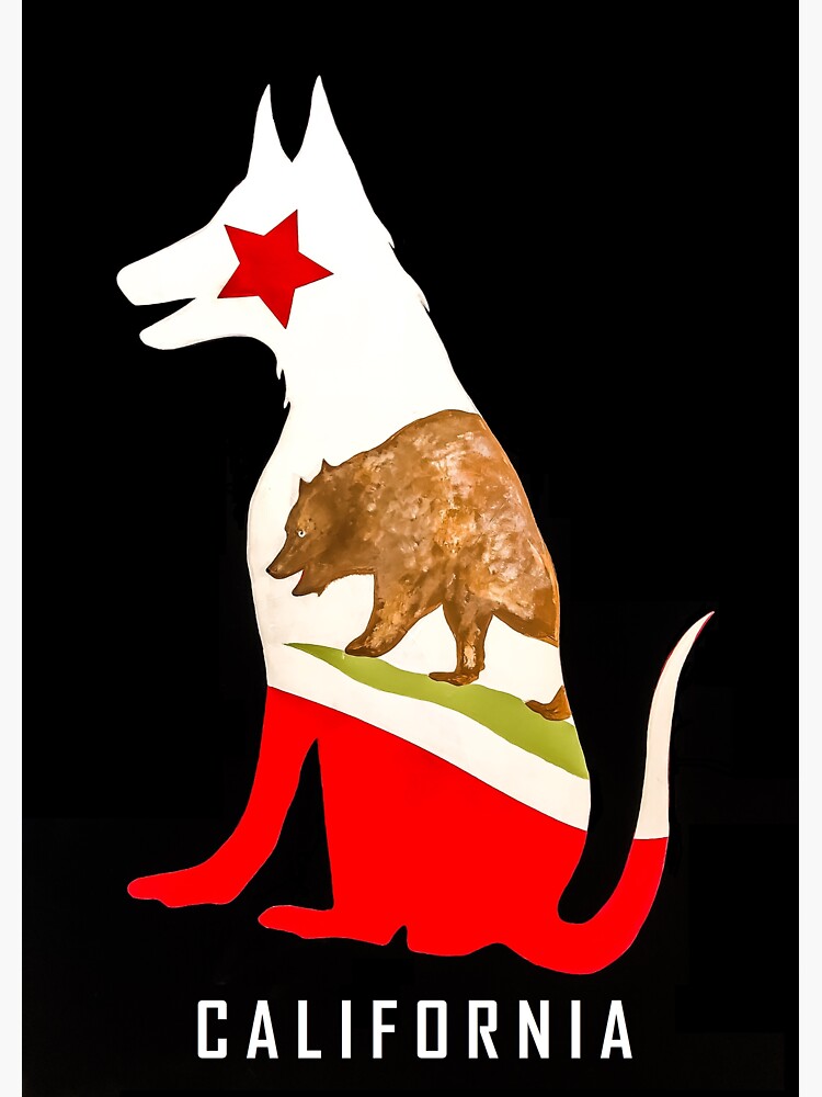 "California Dog sticker" Sticker by barryknauff Redbubble