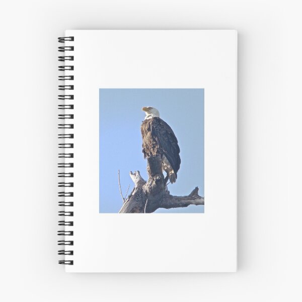 Item preview, American Bald Eagle Perched on Dead Tree designed and sold by 2CrabbySisters.