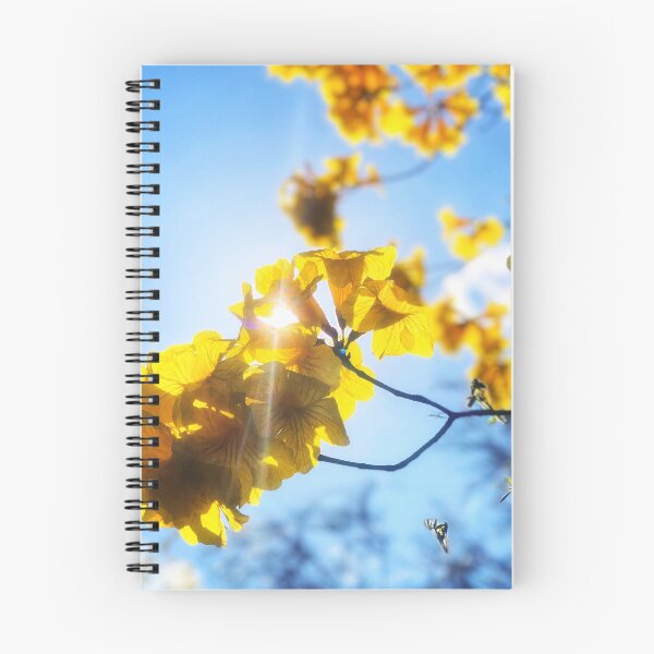 Item preview, My Garden Sunshine designed and sold by Cassie Kitching.