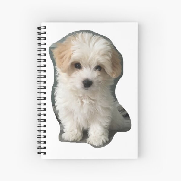maizie Spiral Notebook