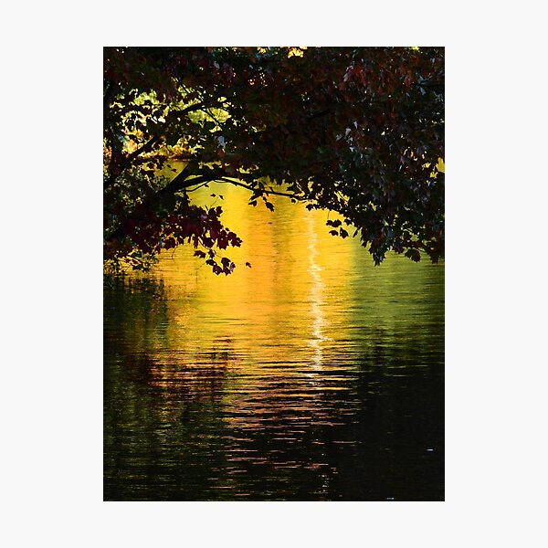 Near Dusk Photographic Print