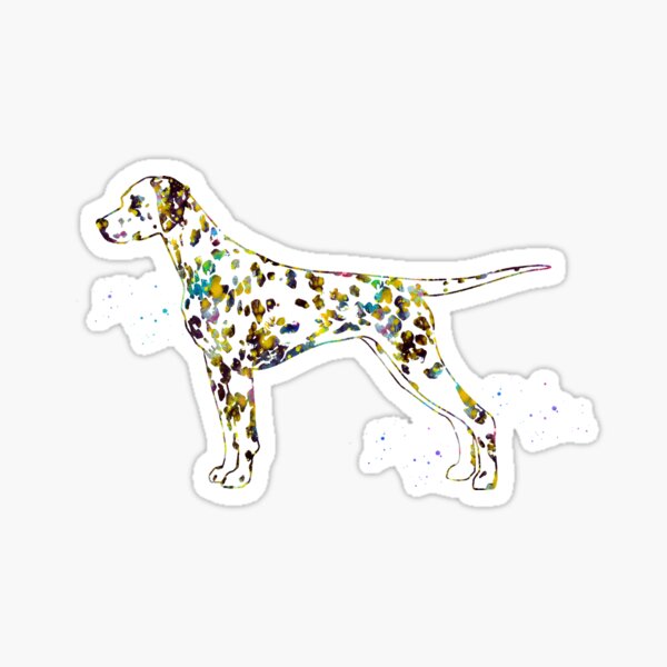 "Dalmatian dog" Sticker by erzebetth Redbubble