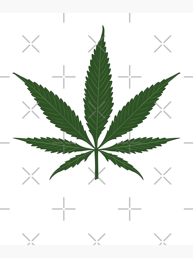 Marijuana 420 Stock Vector Illustration and Royalty Free Marijuana