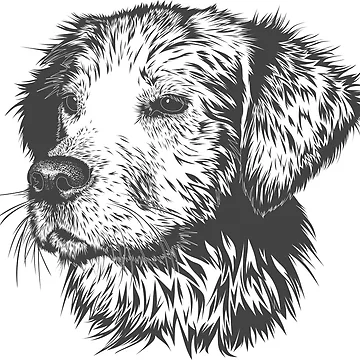 Artwork thumbnail, Man's Best Friend by LemonTreeDesign