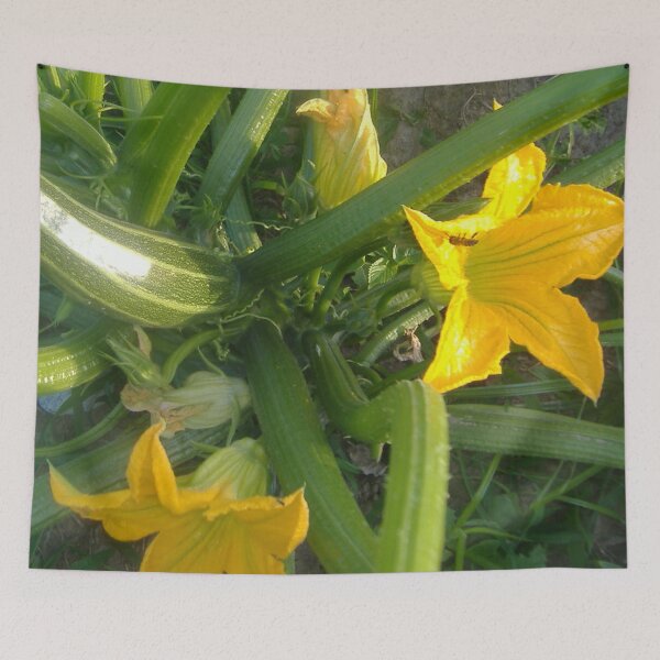 Aperçu de l'œuvre Plante de courgette avec des fleurs et des fruits créée et vendue par JRHarshman.