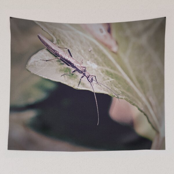 Item preview, IVY LEAGUE designed and sold by NICK COBURN PHILLIPS.