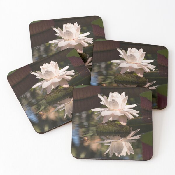 Item preview, Dragonfly on Giant Victoria Cruziana waterlily  designed and sold by Zina Stromberg.
