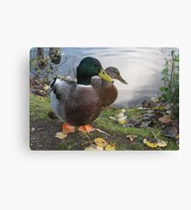 Mr & Mrs Canvas Print