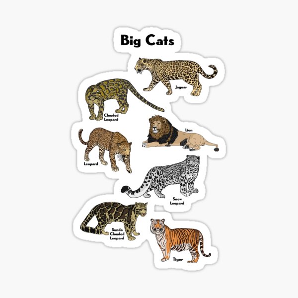 Vista previa del artículo con la obra «Gatos grandes», diseñado y vendido por GraceT26.
