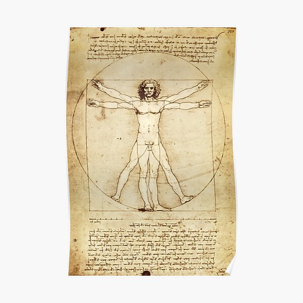 Vitruvian Man Drawing by Leonardo da Vinci Poster