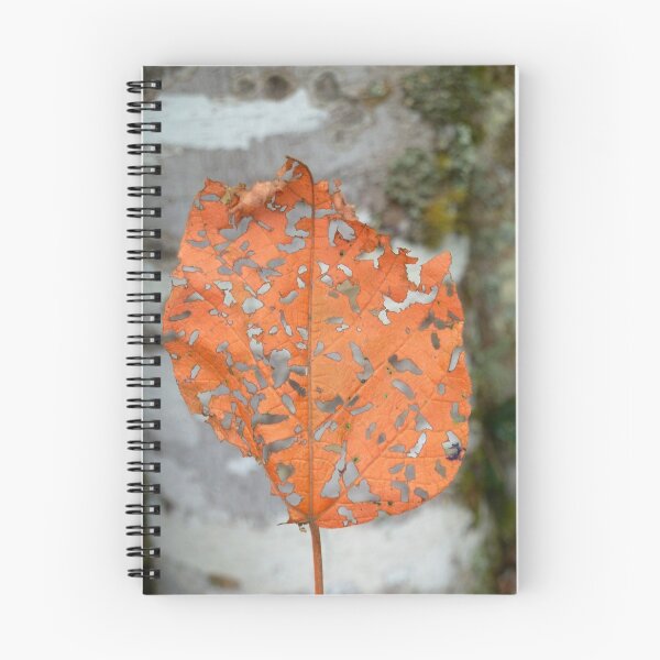 Item preview, Single Leaf designed and sold by Craig Bernstein.