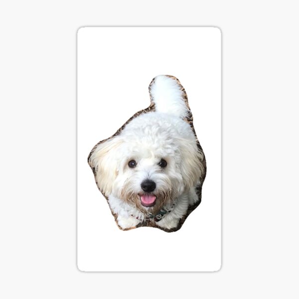 maizie in the leaves Sticker