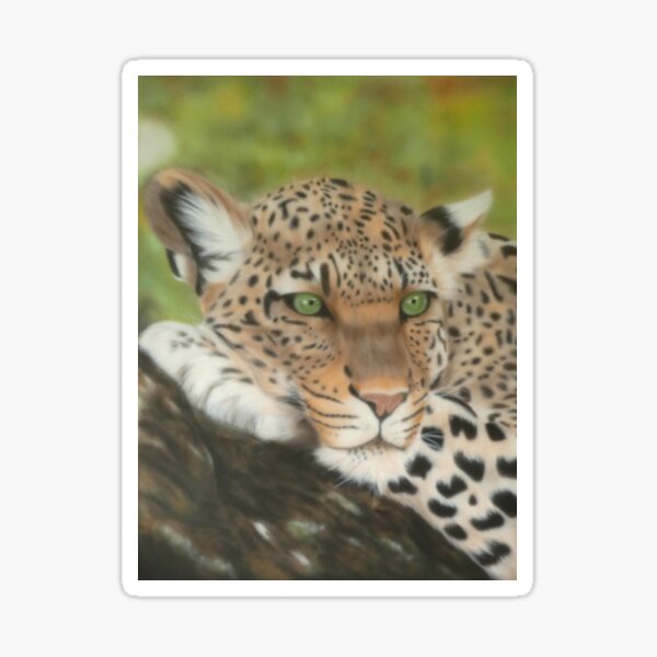 Amber Sticker