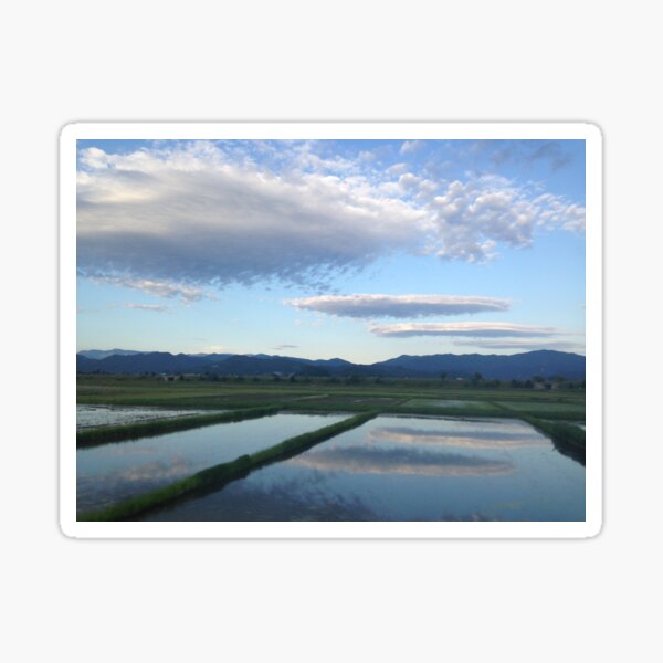 Rice Paddy Dreams Sticker