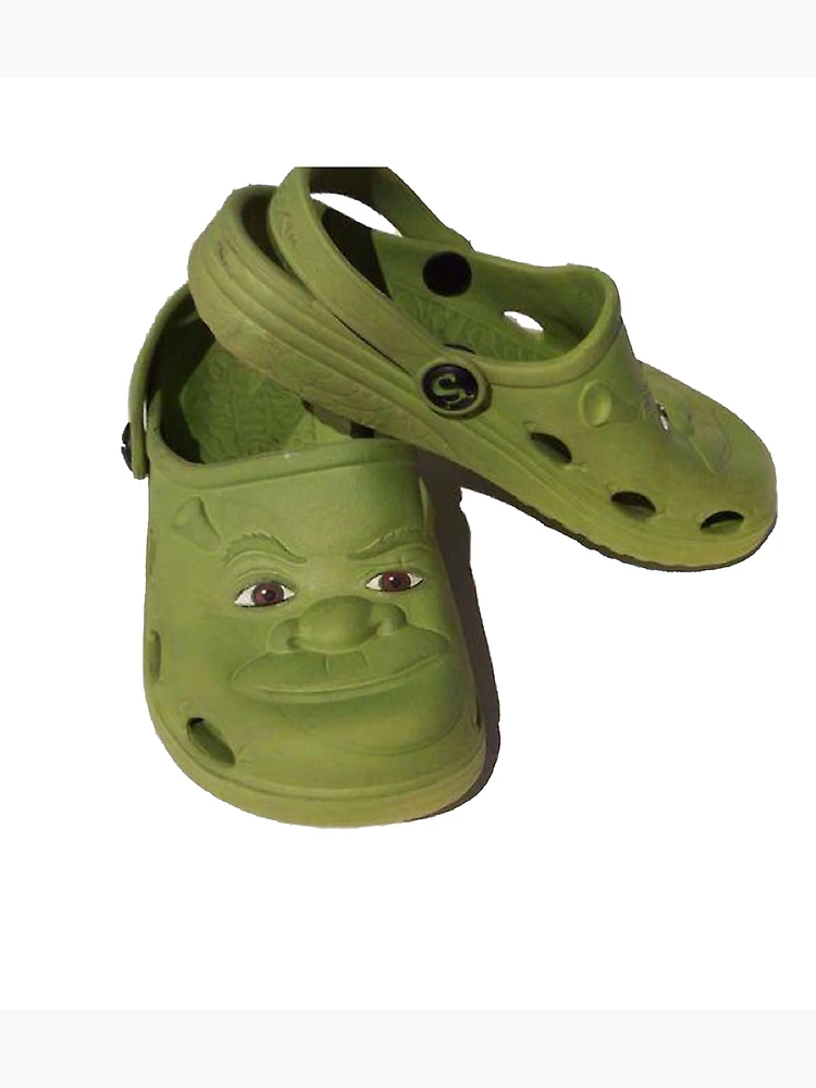 Fiona And Shrek Crocs Shrek Crocs Adults - CrocsBox