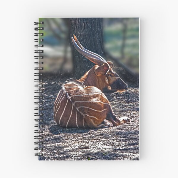 Item preview, Bongo designed and sold by miroslava.