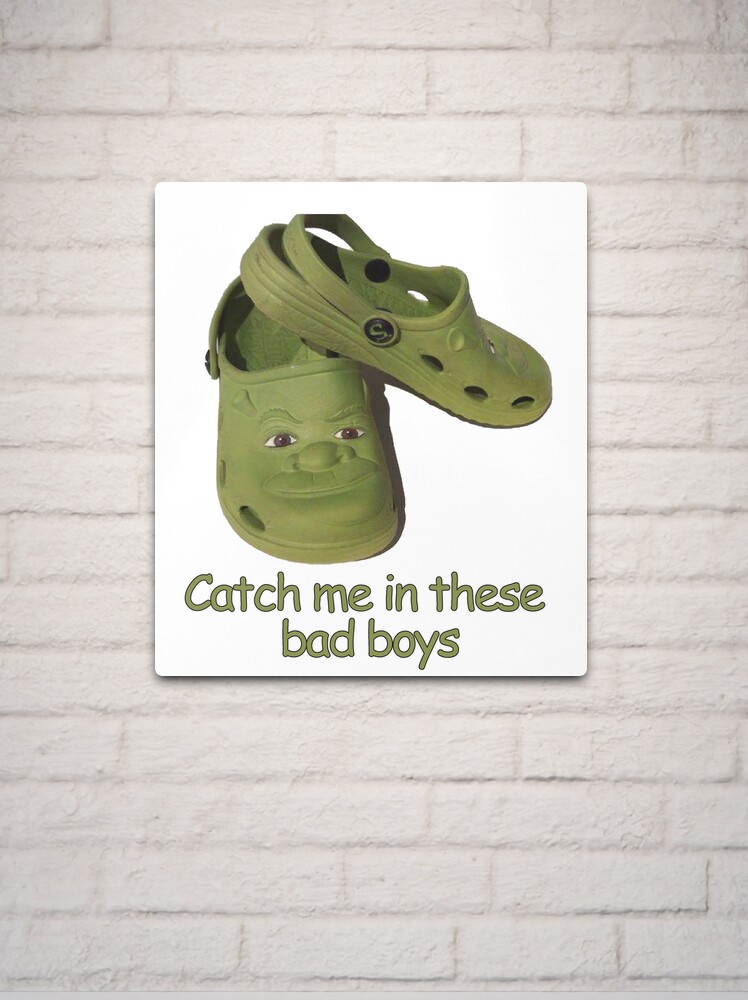 Shrek on the Croc Metal Print for Sale by apollosale