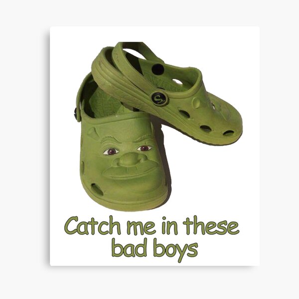 Catch me in these fresh shrek crocs