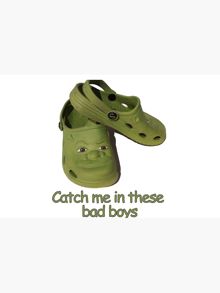 These awful Shrek Crocs : r/HelpMeFind