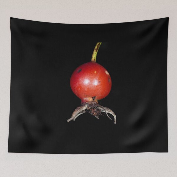 Item preview, Wild rose fruit close-up designed and sold by SDym Photography.