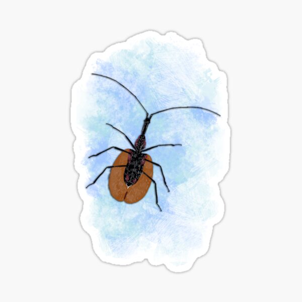 Insecta v7 Sticker