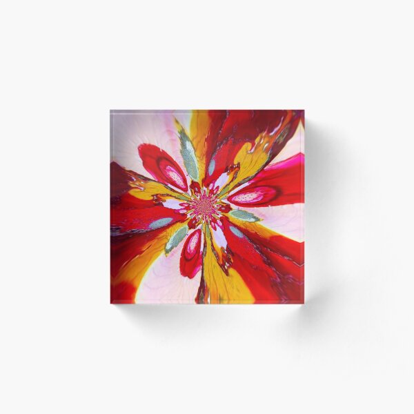 Flurry of colors Acrylic Block