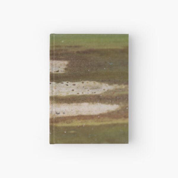 aging tracks Hardcover Journal