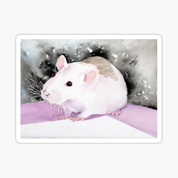Star, the fancy rat. Sticker