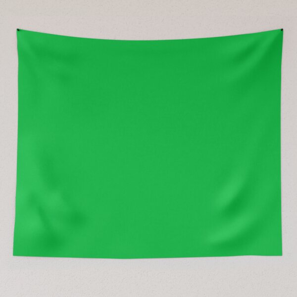 Item preview, PLAIN SOLID COLOR DARK PASTEL GREEN - FESTIVE CHRISTMAS COLORS ACCENTS AND HUES  designed and sold by ozcushions.
